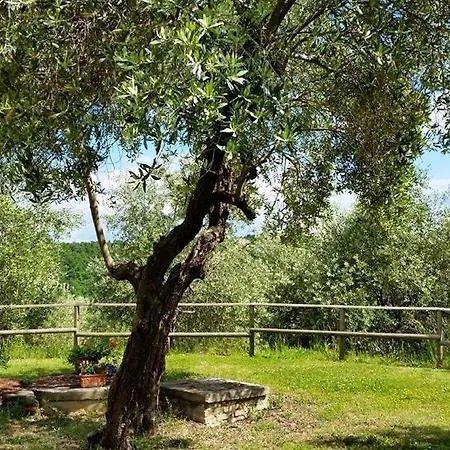아파트 Madonna Della Sanita Sleeps 4 Pool T763604 시타델라피에베